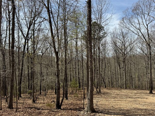 TBD3 Hwy 123, Hasty, AR 72640