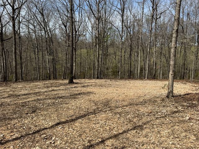 TBD3 Hwy 123, Hasty, AR 72640