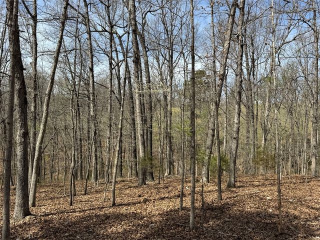 TBD3 Hwy 123, Hasty, AR 72640