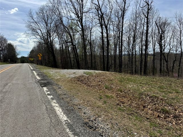 TBD3 Hwy 123, Hasty, AR 72640