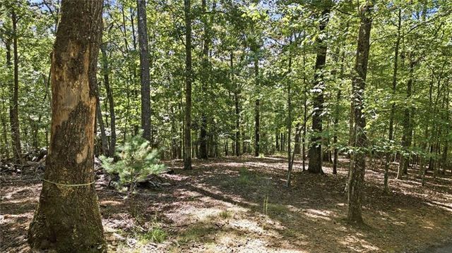 22 Riverwalk, Blue Ridge, GA 30513