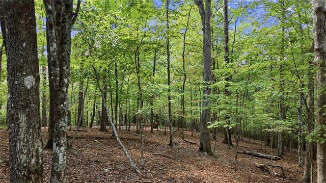 22 Riverwalk, Blue Ridge, GA 30513