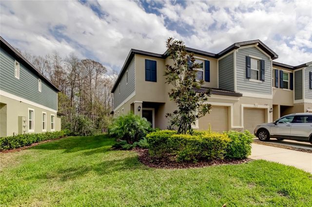 17567 NECTAR FLUME DRIVE, Land O Lakes, FL 34638