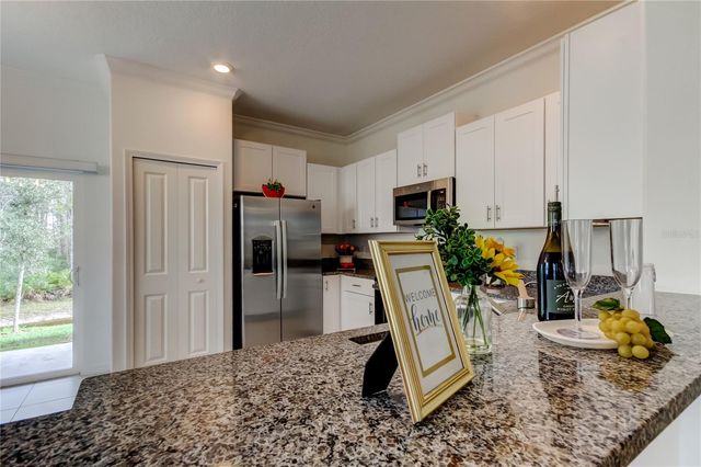 17567 NECTAR FLUME DRIVE, Land O Lakes, FL 34638