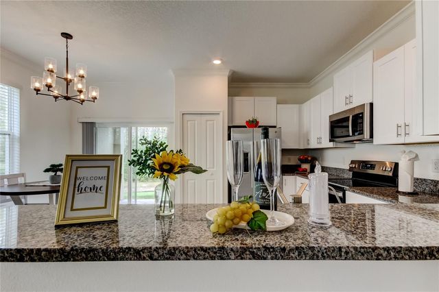 17567 NECTAR FLUME DRIVE, Land O Lakes, FL 34638