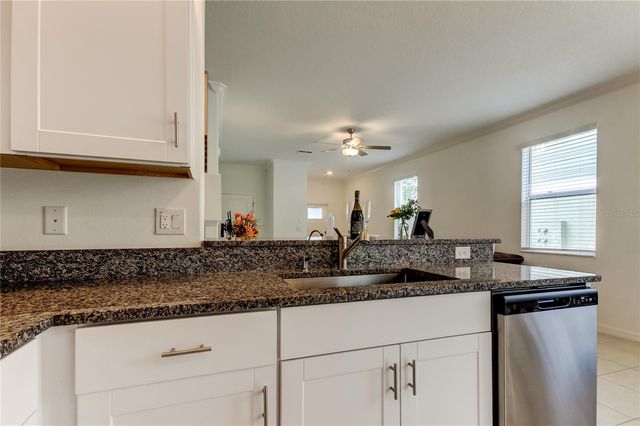 17567 NECTAR FLUME DRIVE, Land O Lakes, FL 34638