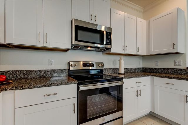 17567 NECTAR FLUME DRIVE, Land O Lakes, FL 34638