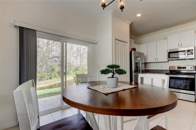 17567 NECTAR FLUME DRIVE, Land O Lakes, FL 34638