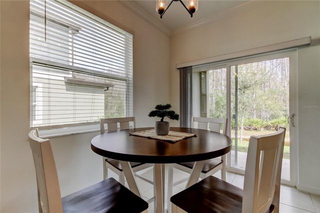 17567 NECTAR FLUME DRIVE, Land O Lakes, FL 34638