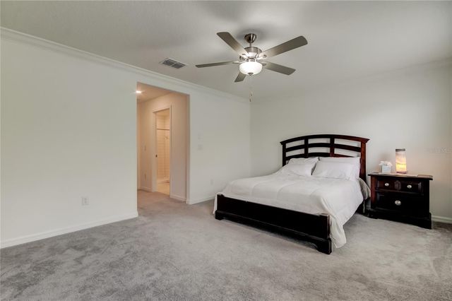 17567 NECTAR FLUME DRIVE, Land O Lakes, FL 34638