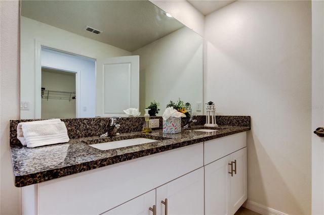 17567 NECTAR FLUME DRIVE, Land O Lakes, FL 34638