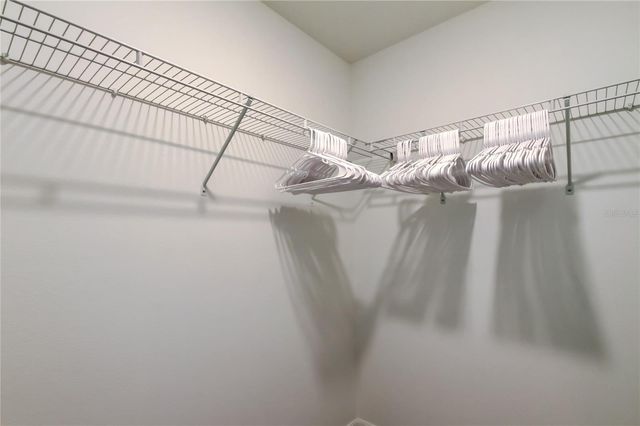 17567 NECTAR FLUME DRIVE, Land O Lakes, FL 34638