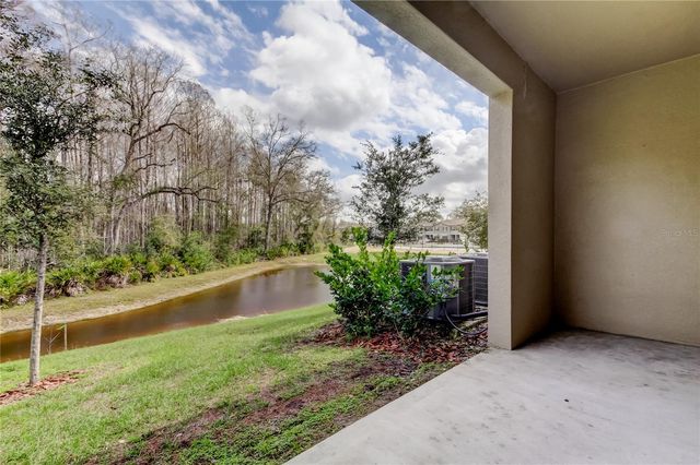 17567 NECTAR FLUME DRIVE, Land O Lakes, FL 34638