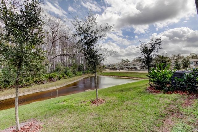 17567 NECTAR FLUME DRIVE, Land O Lakes, FL 34638