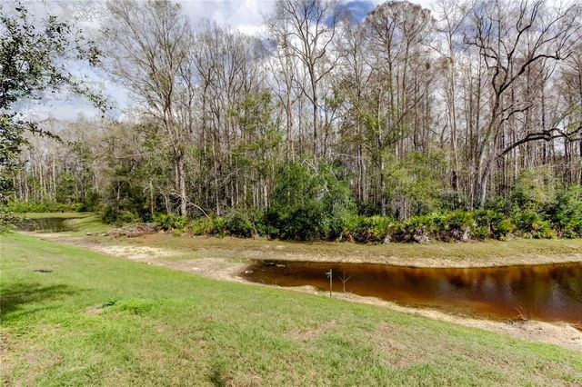 17567 NECTAR FLUME DRIVE, Land O Lakes, FL 34638