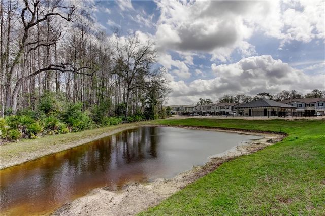 17567 NECTAR FLUME DRIVE, Land O Lakes, FL 34638