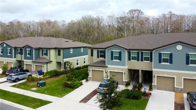 17567 NECTAR FLUME DRIVE, Land O Lakes, FL 34638