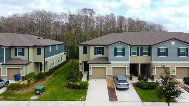 17567 NECTAR FLUME DRIVE, Land O Lakes, FL 34638