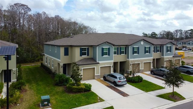 17567 NECTAR FLUME DRIVE, Land O Lakes, FL 34638