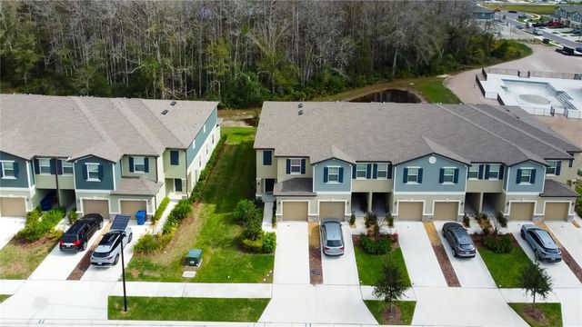 17567 NECTAR FLUME DRIVE, Land O Lakes, FL 34638