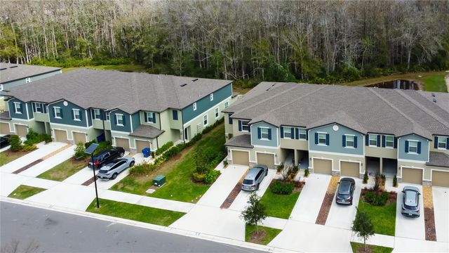 17567 NECTAR FLUME DRIVE, Land O Lakes, FL 34638