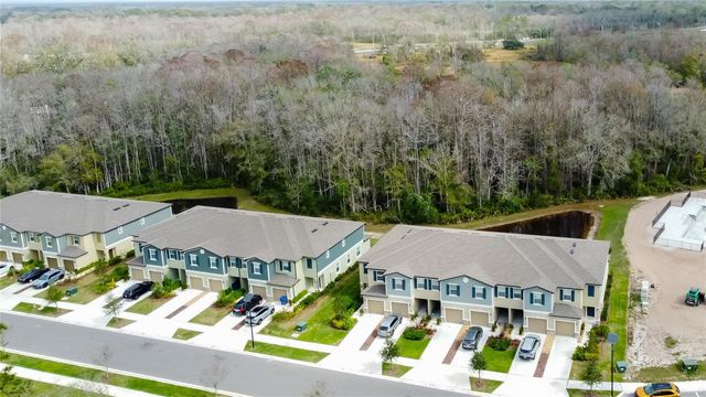 17567 NECTAR FLUME DRIVE, Land O Lakes, FL 34638