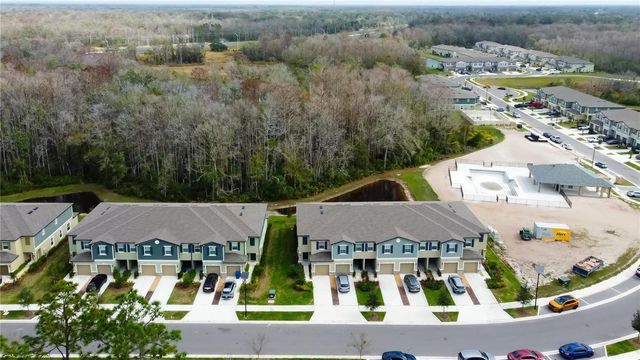 17567 NECTAR FLUME DRIVE, Land O Lakes, FL 34638