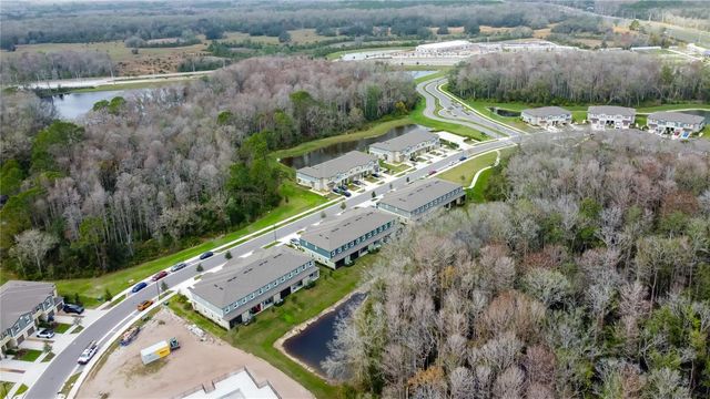 17567 NECTAR FLUME DRIVE, Land O Lakes, FL 34638