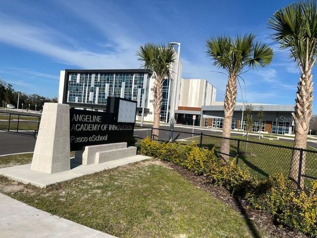 17567 NECTAR FLUME DRIVE, Land O Lakes, FL 34638