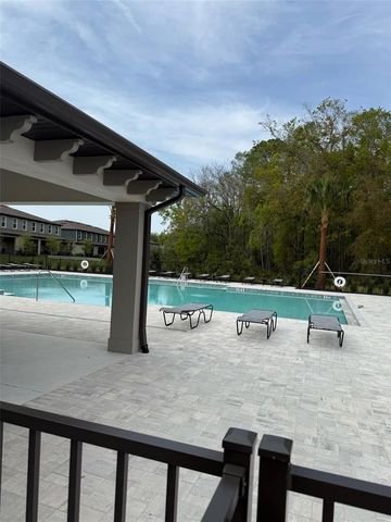 17567 NECTAR FLUME DRIVE, Land O Lakes, FL 34638