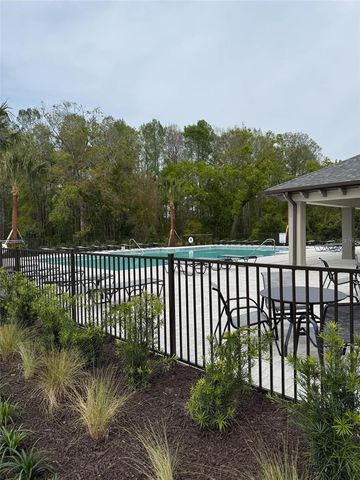 17567 NECTAR FLUME DRIVE, Land O Lakes, FL 34638