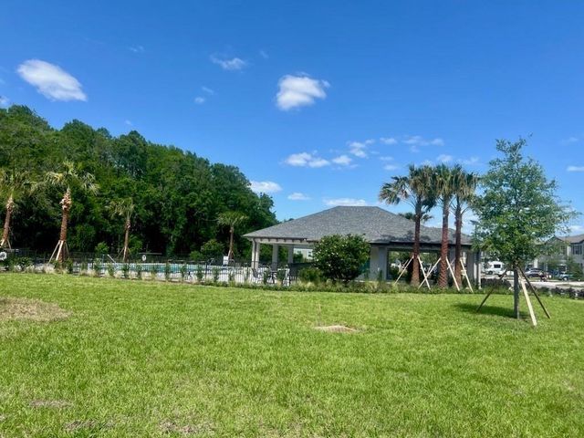 17567 NECTAR FLUME DRIVE, Land O Lakes, FL 34638