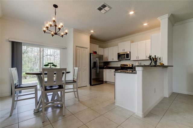 17567 NECTAR FLUME DRIVE, Land O Lakes, FL 34638