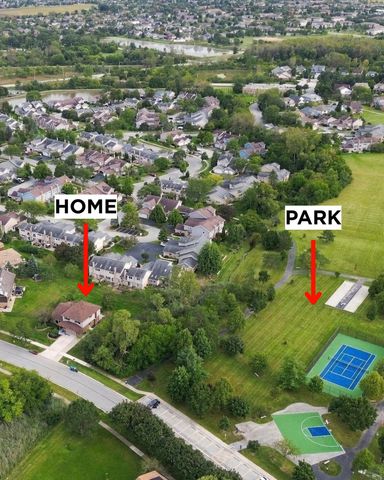 11453 Brook Hill Drive, Orland Park, IL 60467