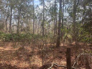 0 Old Grade Road, Polk City, FL 33868