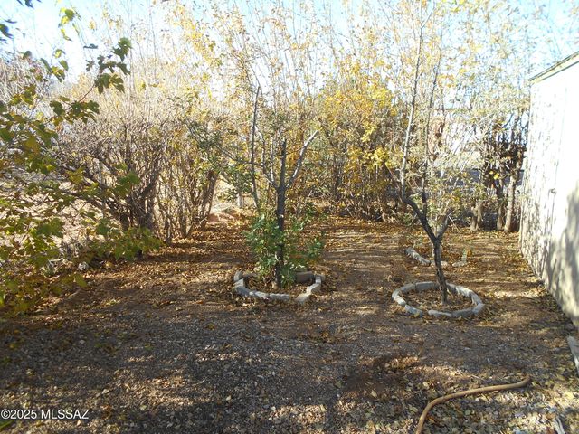 323 N Flynn Jans Court, Pearce, AZ 85625