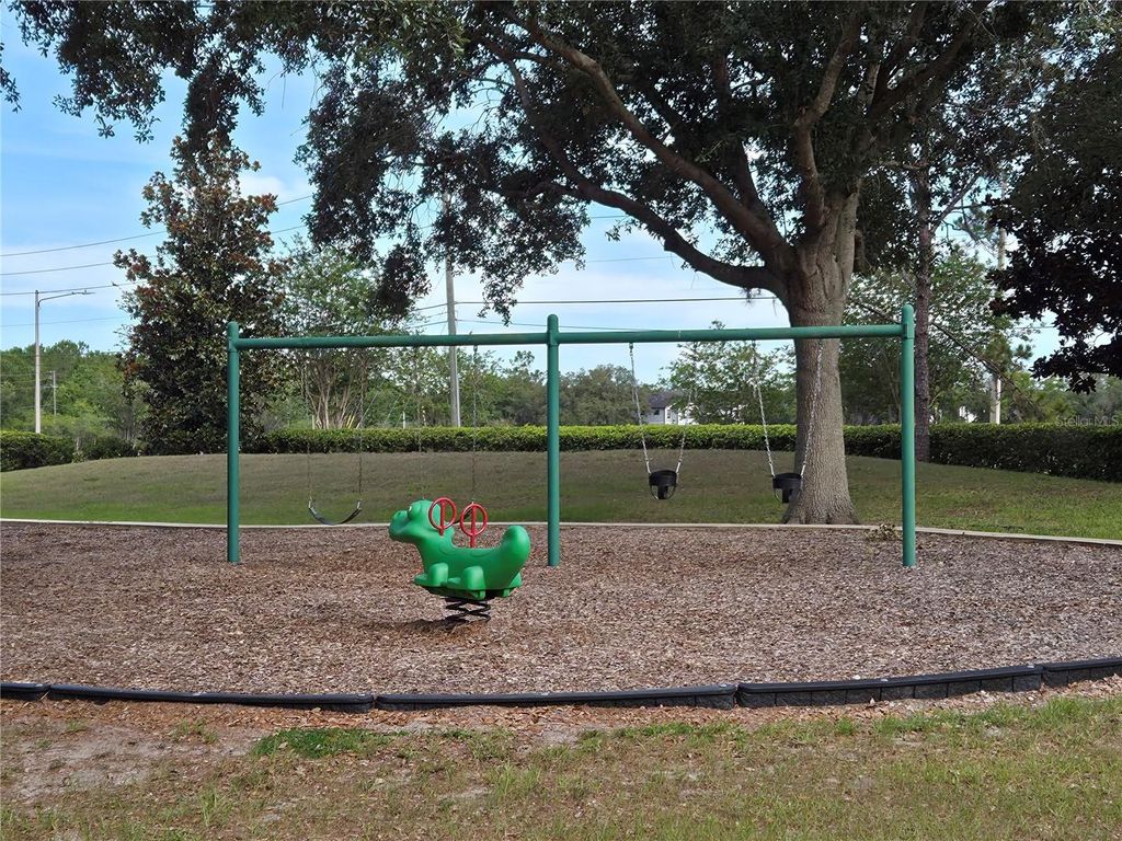 Image 34 of property listing at 10990 ELIOTTI STREET, Orlando, FL 32832