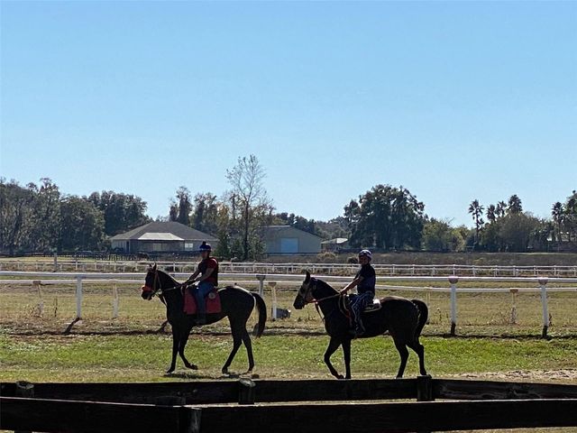 12020 N US HIGHWAY 441, Ocala, FL 34475