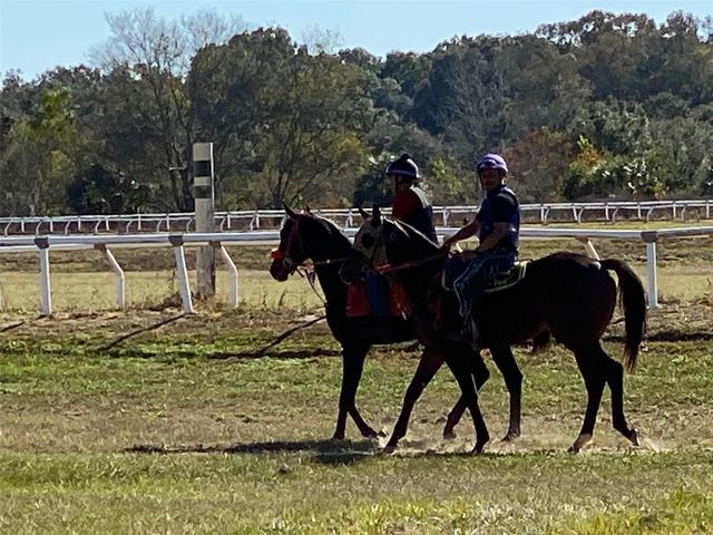 12020 N US HIGHWAY 441, Ocala, FL 34475