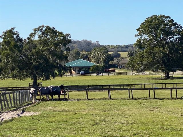 12020 N US HIGHWAY 441, Ocala, FL 34475