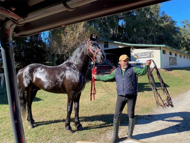 12020 N US HIGHWAY 441, Ocala, FL 34475