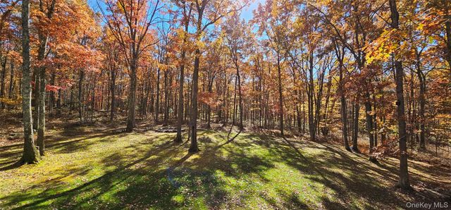 323 Cushetunk Drive, Cochecton, NY 12726