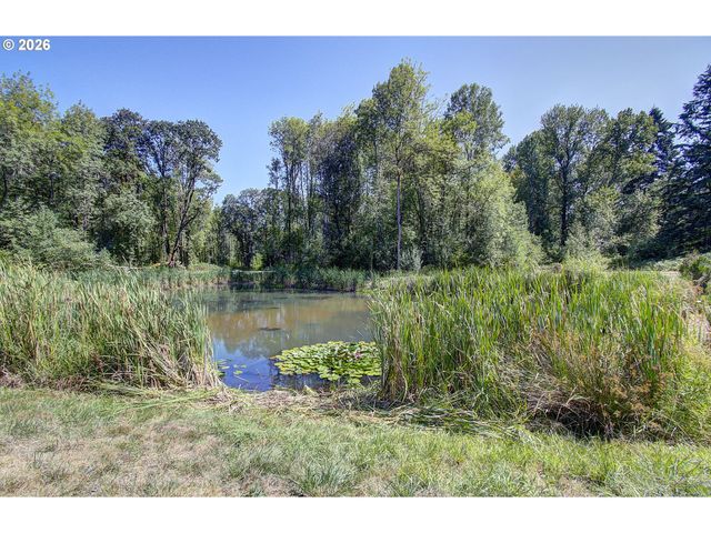 10009 Ne 133RD Ave, Vancouver, WA 98682