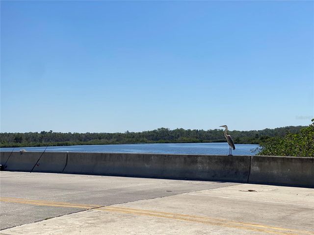 1578 INDIAN BAY ROAD, Spring Hill, FL 34607