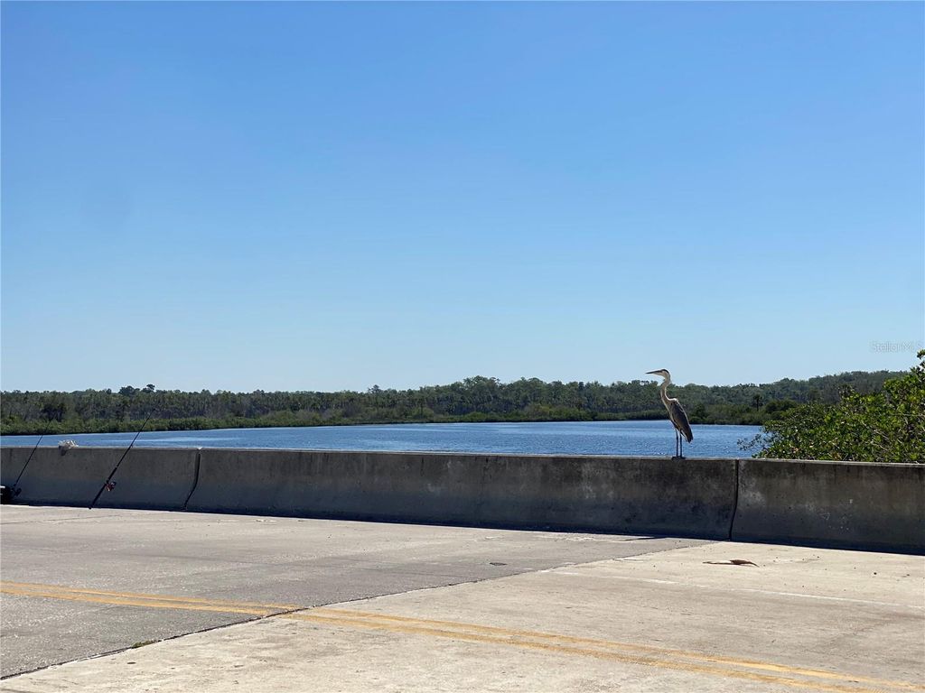 Image 45 of property listing at 1578 INDIAN BAY ROAD, Spring Hill, FL 34607