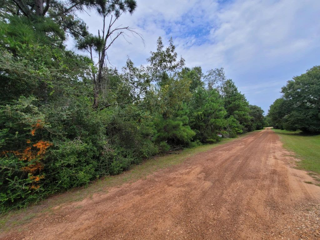 26791 Redwood Drive, Hempstead, TX 77445