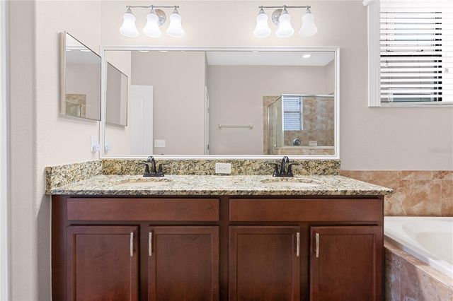 10222 CELTIC ASH DRIVE, Ruskin, FL 33573