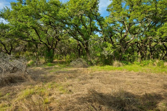 Tract 1 Esperanza Trail, Johnson City, TX 78636