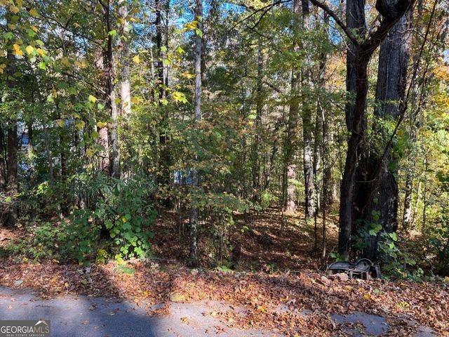 130 Valley Drive, Stockbridge, GA 30281
