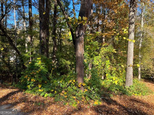 130 Valley Drive, Stockbridge, GA 30281